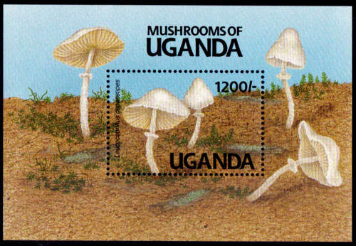 UGANDA 1991, 19 July. FUNGI, minisheet, MNH, CV +/-R 90.00 view scans