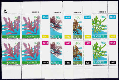 TRANSKEI 1988, 18 Feb. Seaweed, set, controls, MNH, CV R 40.00 view scans