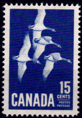CANADA 1963, 30 Oct. Birds - Canada Geese, single, MH, CV +/-R 40.00 view scans
