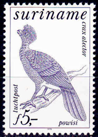 SURINAME 1979, 10 Jan. Birds - Airmail, single, MNH, CV +/-R 170.00 view scans
