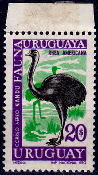 URUGUAY 1970, 14 Oct. Birds - Airmail, Local Fauna, part of set, MH, CV +/-R 20.00 view scans