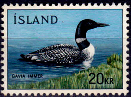 ICELAND 1967, 16 March. BIRDS - GREAT NORTHERN DIVER, single, MH, CV +/-R 90.00 view scans