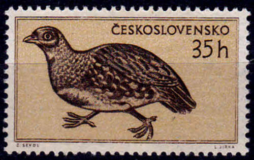 CZECHOSLOVAKIA 1955, 8 Aug. Birds - Fauna, part set, MH, CV +/-R 30.00, view scans