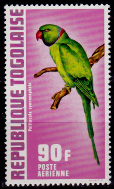 TOGO 1972, 9 Sept. Birds - Airmail, single, MNH, CV+/-R 60.00 view scans