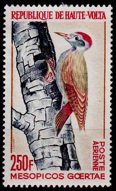 UPPER VOLTA 1964, 1 Oct. Birds - Airmail, single, MH, CV +/-R 185.00 view scans