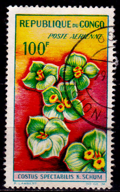 CONGO REP 1963, 9 Aug. Airmail - Flowers, single, UNH, CV +/-R 30.00 view scans