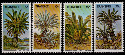 TRANSKEI 1980, 30 April. Cycads, set, MNH, CV R 10.00 view scans