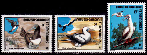 NEW CALEDONIA 1976, 21 Feb. Marine Birds, set, MNH, CV +/-R 105.00 view scans