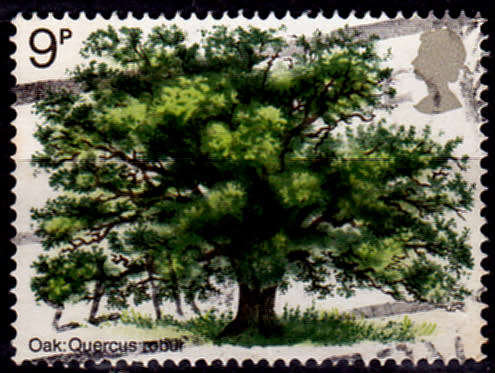 ENGLAND 1973, 28 Feb. TREE PLANTING YEAR, single, UNH, CV +/-R 10.00 view scans