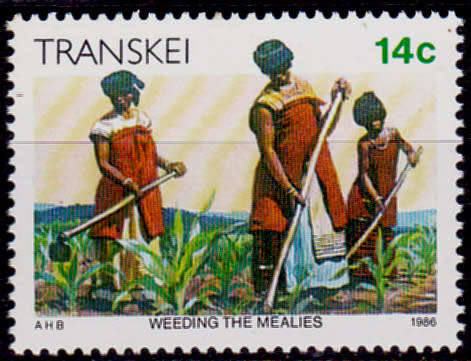 TRANSKEI 1986, 1 April. ADDITIONAL VALUE DEFINITIVE ISSUE, single, MNH, CV R 1.00 view scans