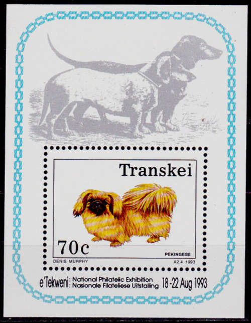 TRANSKEI 1993, 12 Feb. DOGS, Foundation minisheet, MNH, CV R 100.00, view scans