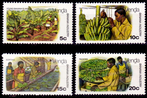 VENDA 1980, 13 Aug. BANANA CULTIVATION, set, MNH, CV R 10.00 view scans