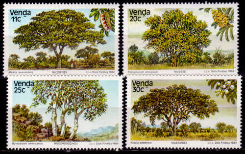 VENDA 1984, 21 June. INDIGENOUS TREES(3rd issue), set, MNH, CV R 10.00 view scans