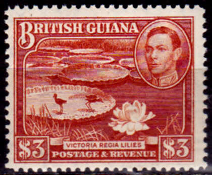 BRITISH GUIANA 1945. Birds - Local Motives, short set, MH, CV +/-R 700.00 view scans