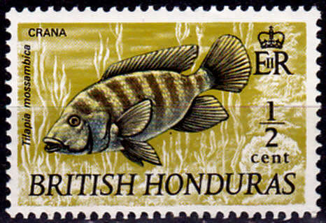 BRITISH HONDURAS 1971, 1 Feb. Wildlife - Fish, single, MH, CV +/-R 45.00 view scans