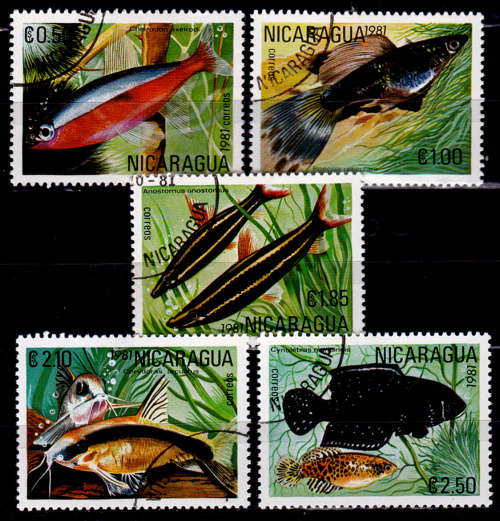 NICARAGUA 1981, 19 Oct. Tropical Fish, set, UH, CV+/- R 25.00, view scans