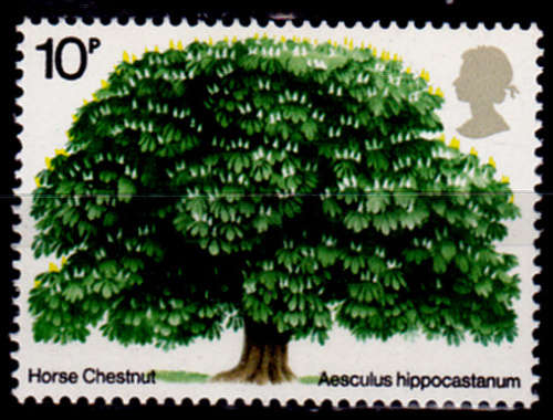 ENGLAND 1974, 27 Feb. HORSE CHESTNUT, single, MNH, CV +/-R 10.00 view scans