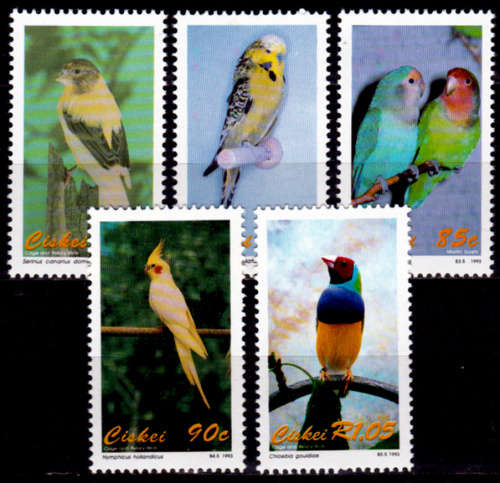 CISKEI 1993, 16 July. Cage and Aviary Birds, set, MNH, CV R 67.00, view scans