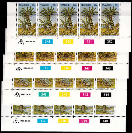 TRANSKEI 1980, 30 April. Cycads, set controls MNH, CV R 50.00 view scans