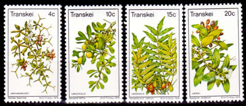 TRANSKEI 1978, 25 Sept. Edible Wild Fruits, set, MNH, CV R 10.00 view scans