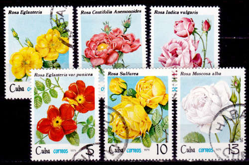 CUBA 1979, 20 Aug. ROSES, short set, UNH, CV +/-R 30.00 view scans