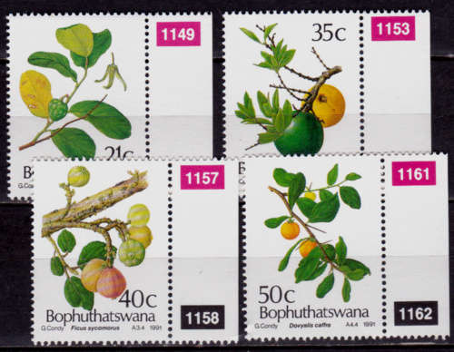 BOPHUTHATSWANA 1991, 24 Jan. EDIBLE WILD FRUIT, set, MNH, CV R 30.00, view scans
