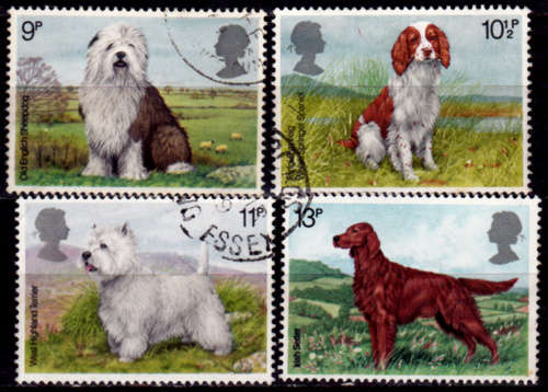 ENGLAND 1979, 7 Feb. DOGS, set, UH, CV +/-R 30.00 view scans