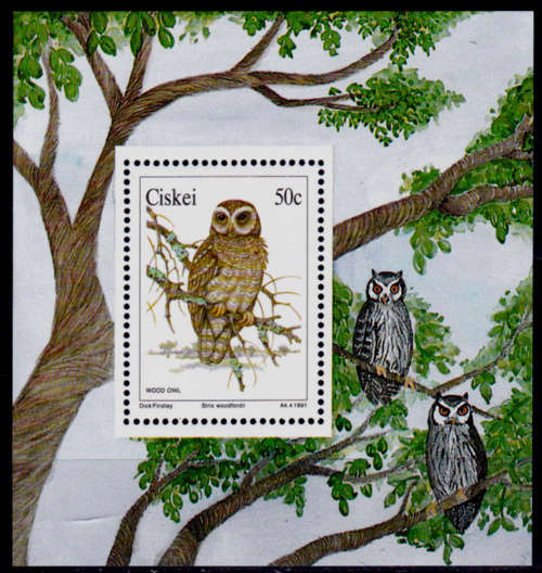 CISKEI 1991, 7 Feb. OWLS, minisheet, MNH, CV R 55.00 view scans