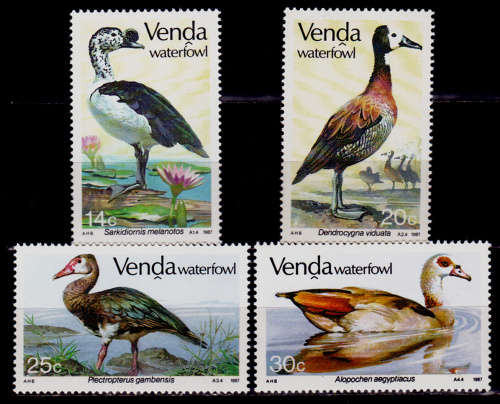 VENDA 1987, 8 Jan. WATERFOWL, set, MNH, CV R 65.00 view scans
