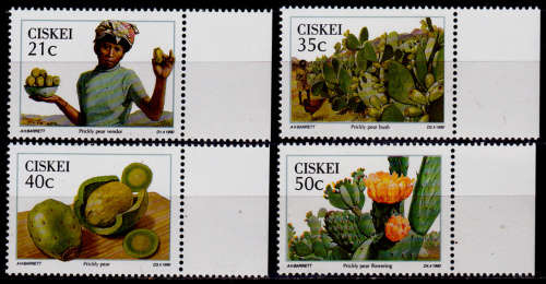 CISKEI 1990, 29 Nov. WILD EDIBLE FRUIT - PRICKLY PEAR, set, MNH, CV R 12.50, view scans