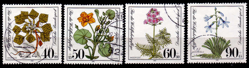 GERMANY 1981, 8 Oct. CHARITY STAMPS - AQUATIC PLANTS, set, UH, CV+/- R 70.00 view scans