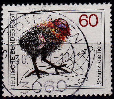 GERMANY 1981, 16 July. PROTECTION OF ANIMALS, single, UH, CV+/- R 10.00 view scans