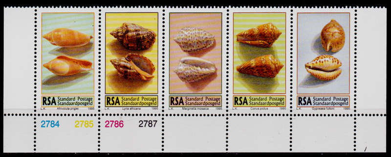 RSA 1995, 24 Nov. SEA SHELLS, control strip of 5, MNH. CV R 120.00 view scans