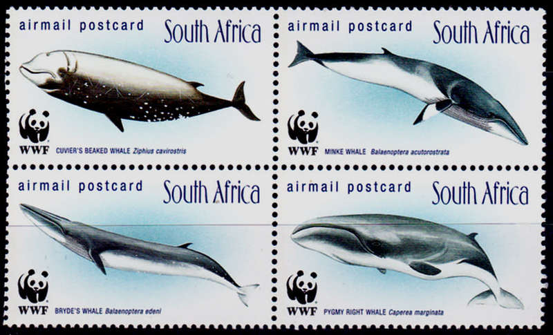 RSA 1998, 23 Oct. WHALES OF SOUTHERN OCEANS WWF, setenant block, MNH, CV R 150.00 view scans