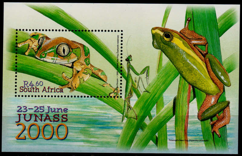 RSA 2000, 23 June. JUNASS 2000 NATIONAL JUNIOR STAMP SHOW, m/sheet, MNH, CV R 60.00 view scans