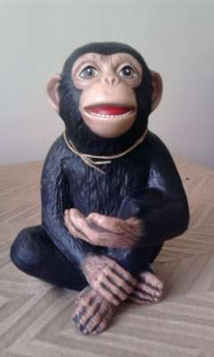 Begging monkey