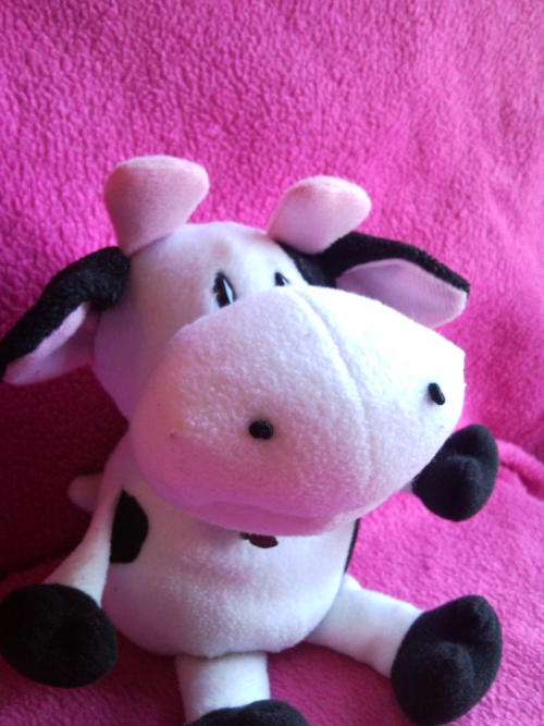 Black And White Cow With Sound Box (+-15cm)