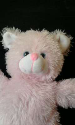 Very Soft Pink Teddy (+-38cm)