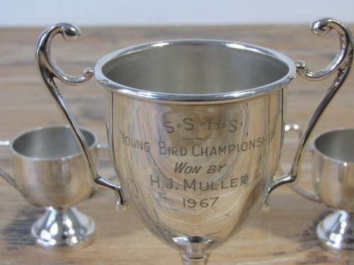 Lot of 3 vintage silver plated Trophies, excellent condition