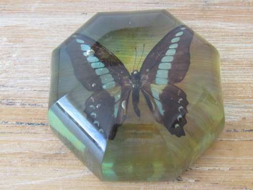Vintage paperweight, Butterfly, 10cm diameter