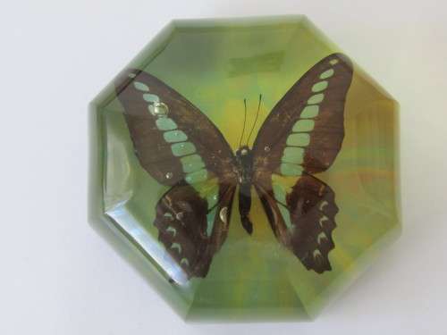 Vintage paperweight, Butterfly, 10cm diameter