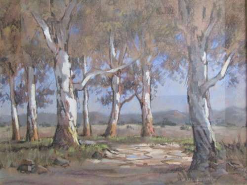 Original large Marc Poisson pastel on paper Painting "Blue Gum Trees" 61x 47cm, investment art