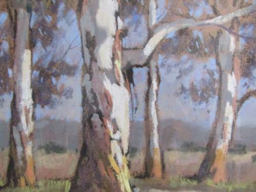 Original large Marc Poisson pastel on paper Painting "Blue Gum Trees" 61x 47cm, investment art