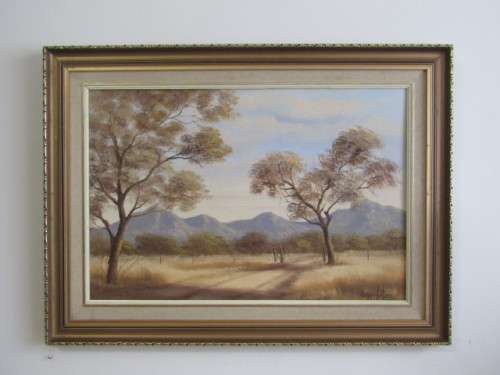 Large Original Hennie Coetzee (SA 20th) Oil on Canvas on Board Framed Painting, 65cm x 43cm