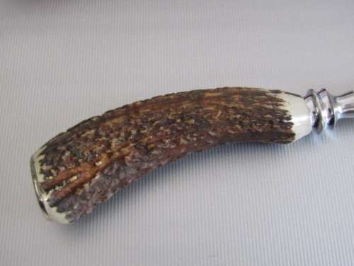 Horn Handle SS Carving Set in Leather Clad Case, Taylor's Eye Witness, Sheffield England, unused