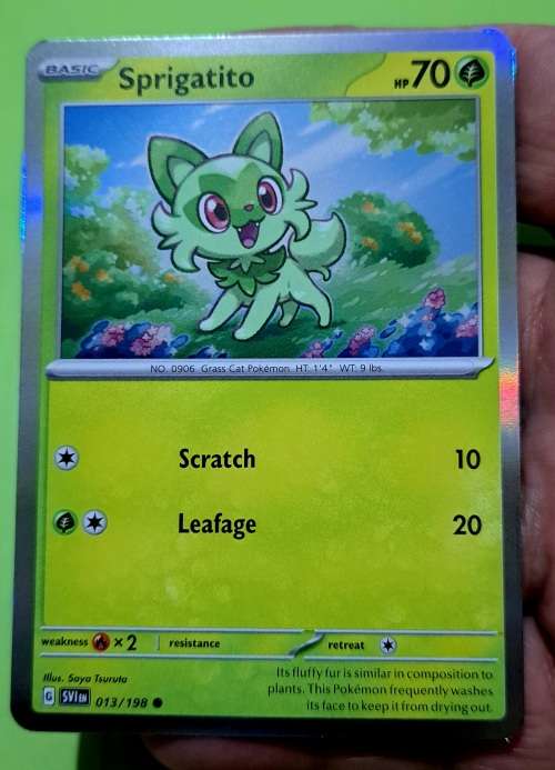 Pokemon Trading Cards - TCG - Sprigatito - 013/198 - Holo - Scarlet & Violet (Base Set) Singles - NM