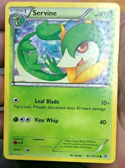 Pokemon Trading Cards - Servine - RC2/RC25 - Black & White 11: Legendary Treasures NM