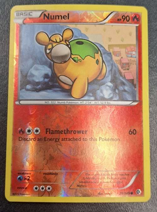 Pokemon Trading Cards - Numel - 21/149 - Reverse Holo - 2012 Boundaries Crossed - NM