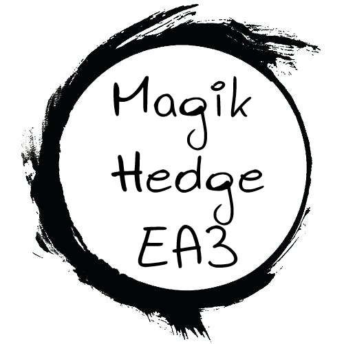 Forex Magik Hedge EA3
