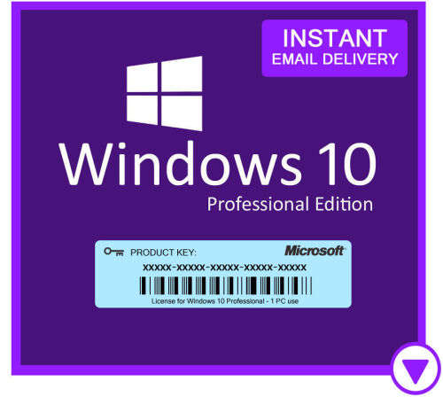 Microsoft Windows 10 Professional OEM Edition (Lifetime Activation + Download)